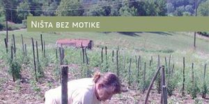 Alternativno poljodjelstvo - najveći poljoprivredni hit!